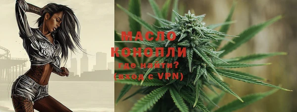 мдпв Верея