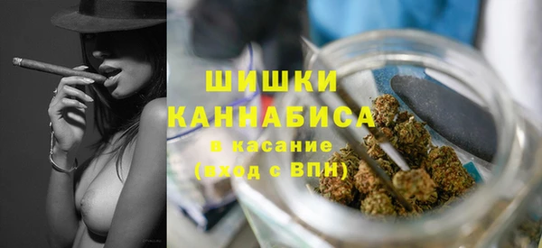 стафф Богородск