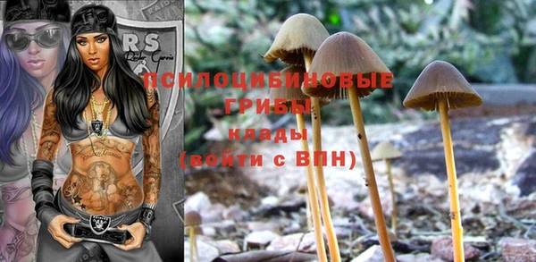 мдпв Верея