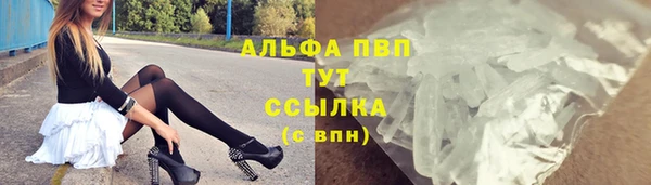прущие грибы Беломорск