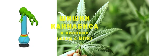 стафф Богородск