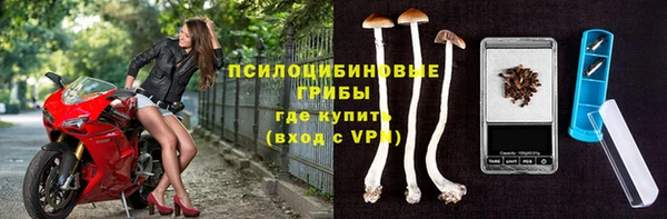 стафф Богородск