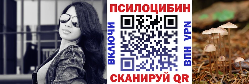 как найти закладки  Волжск  Псилоцибиновые грибы ЛСД 